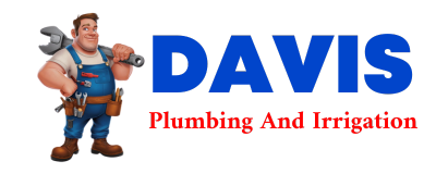 Trusted plumber in MICO